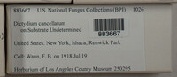 Image Associated With the Occurence